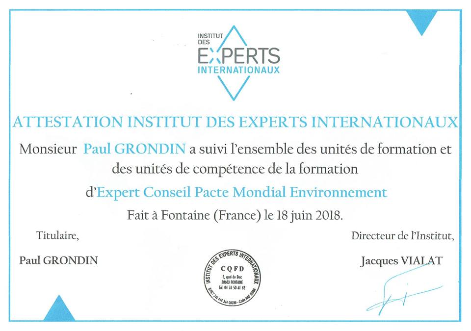 diplome_attestation_des_experts_internationaux